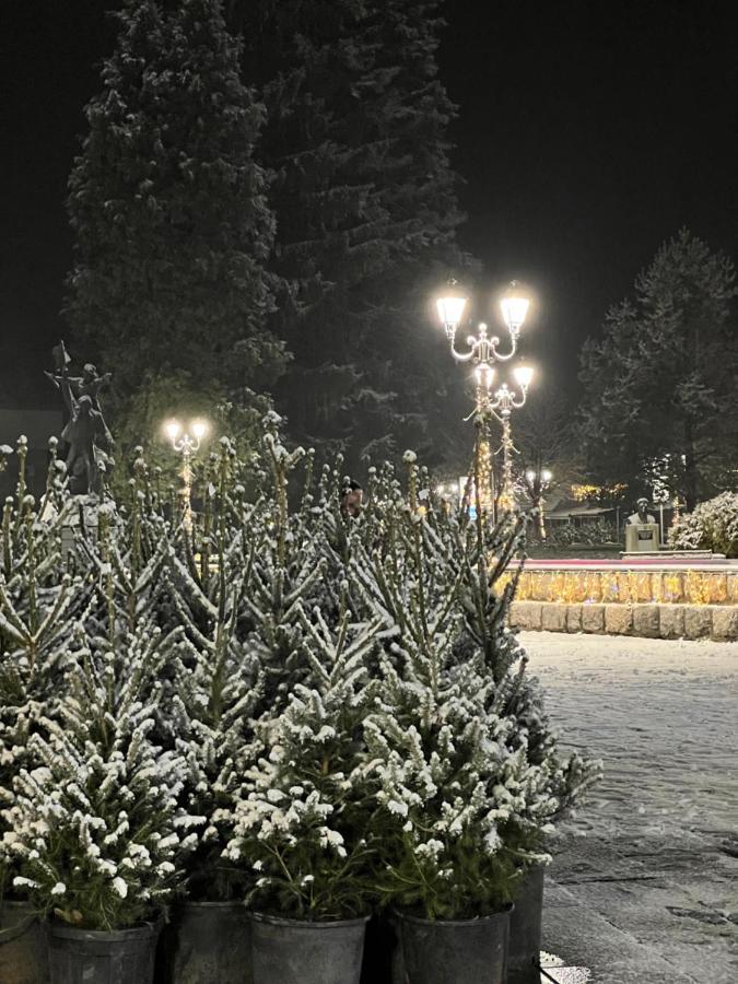 Laf Guest House Kolasin Bagian luar foto